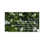 Jasmine Flowers Tropical Floral Botanical Business Card