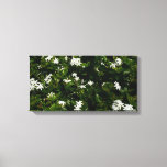 Jasmine Flowers Tropical Floral Botanical Canvas Print