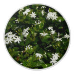 Jasmine Flowers Tropical Floral Botanical Ceramic Knob