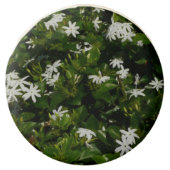 Jasmine Flowers Tropical Floral Botanical Chocolate Dipped Oreo (Front)