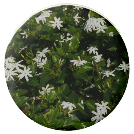 Jasmine Flowers Tropical Floral Botanical Chocolate Dipped Oreo (Front)
