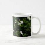 Jasmine Flowers Tropical Floral Botanical Coffee Mug