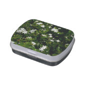 Jasmine Flowers Tropical Floral Botanical Jelly Belly Candy Tin (Side)