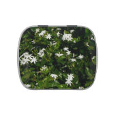 Jasmine Flowers Tropical Floral Botanical Jelly Belly Candy Tin (Top)