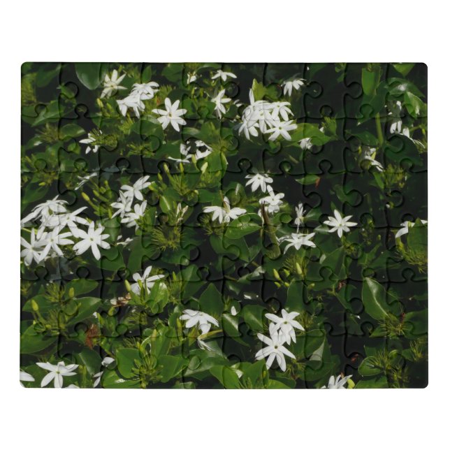 Jasmine Flowers Tropical Floral Botanical Jigsaw Puzzle (Puzzle Horizontal)