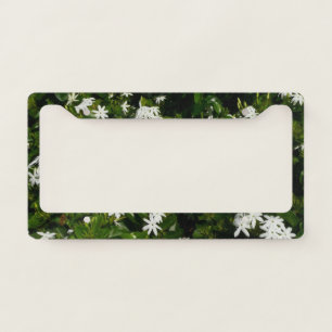 Jasmine Flowers Tropical Floral Botanical License Plate Frame