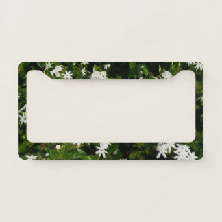 Jasmine Flowers Tropical Floral Botanical License Plate Frame