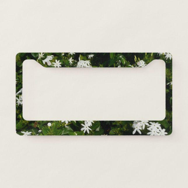 Jasmine Flowers Tropical Floral Botanical License Plate Frame (Front)