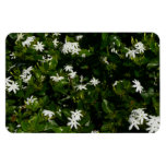 Jasmine Flowers Tropical Floral Botanical Magnet