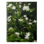 Jasmine Flowers Tropical Floral Botanical Notebook