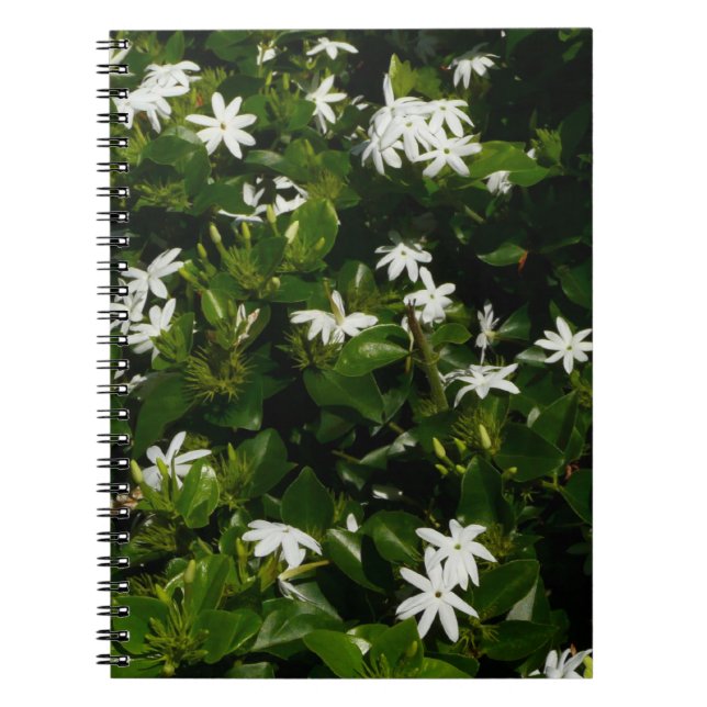 Jasmine Flowers Tropical Floral Botanical Notebook (Front)