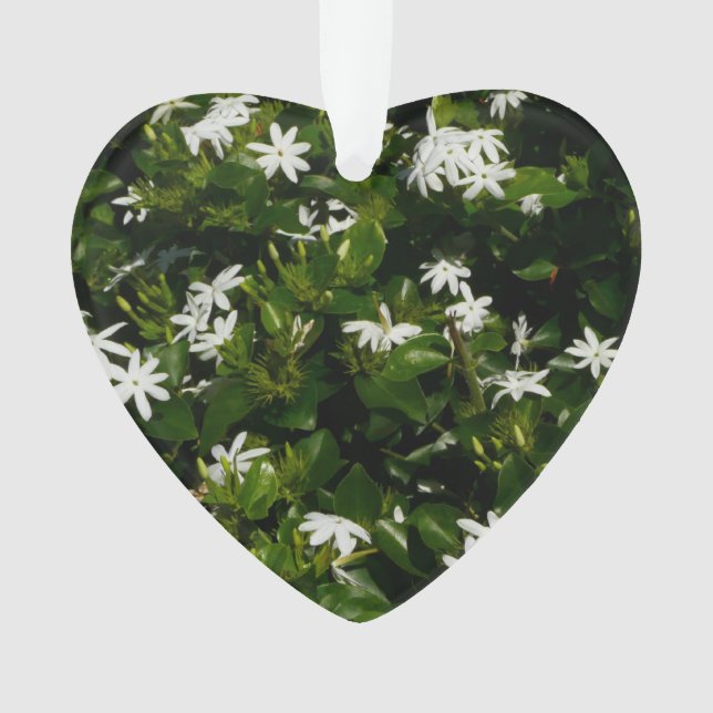 Jasmine Flowers Tropical Floral Botanical Ornament (Front)