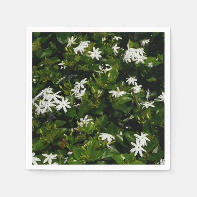 Jasmine Flowers Tropical Floral Botanical Paper Napkins (Front)
