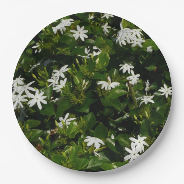Jasmine Flowers Tropical Floral Botanical Paper Plates (Front)