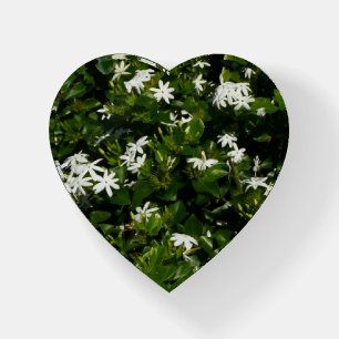 Jasmine Flowers Tropical Floral Botanical Paperweight