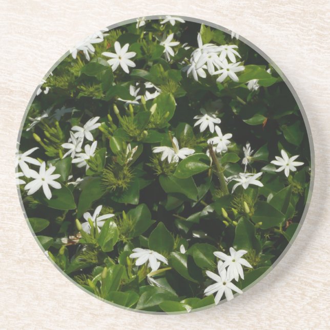 Jasmine Flowers Tropical Floral Botanical Sandstone Coaster (Front)