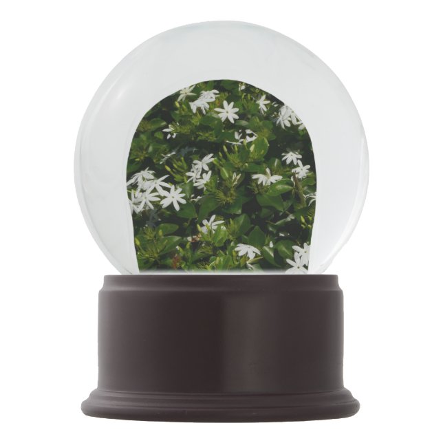 Jasmine Flowers Tropical Floral Botanical Snow Globe (Back)