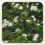 Jasmine Flowers Tropical Floral Botanical Square Paper Coaster