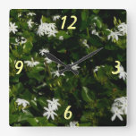 Jasmine Flowers Tropical Floral Botanical Square Wall Clock