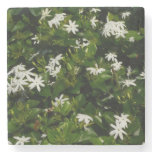Jasmine Flowers Tropical Floral Botanical Stone Coaster