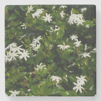 Jasmine Flowers Tropical Floral Botanical Stone Coaster