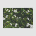 Jasmine Flowers Tropical Floral Botanical Tissue Paper