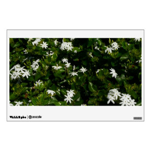 Jasmine Flowers Tropical Floral Botanical Wall Sticker