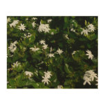Jasmine Flowers Tropical Floral Botanical Wood Wall Art