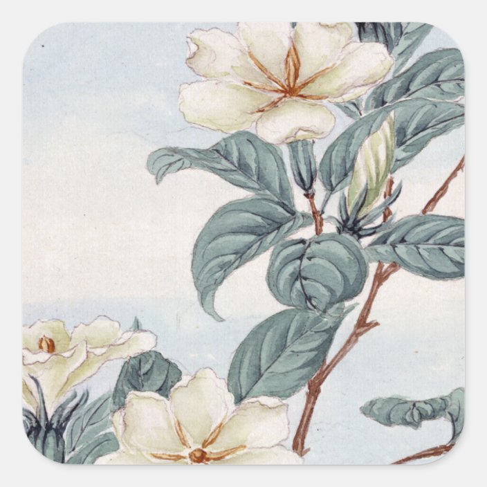 Jasmine Flowers Vintage Japanese Art Square Sticker Zazzle Com