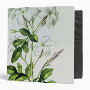 Jasmine, from 'La Guirlande de Julie' 3 Ring Binder