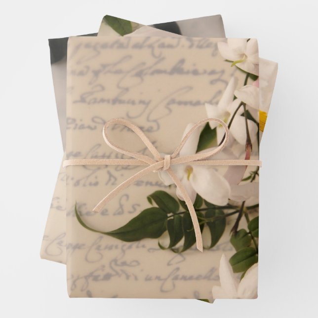 Jasmine on old handwriting wrapping paper sheets (In situ)