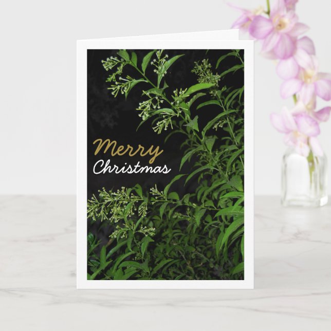 Jasmine Plant at Night Portrait Card (Orchid)
