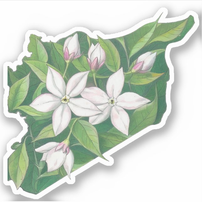 Jasmine Syria Map خريطة سوريا ياسمين  Sticker (Front)