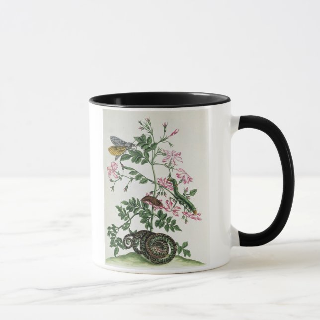 Jasmine: with snake, moth, caterpiller and chrysal mug (Right)