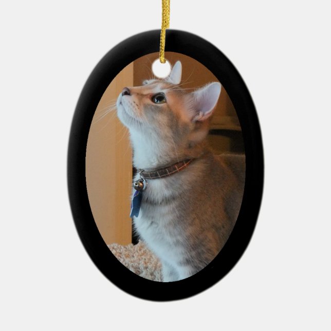Jasper Kitten Photo Framed 2-Sided Oval Ornament (Front)