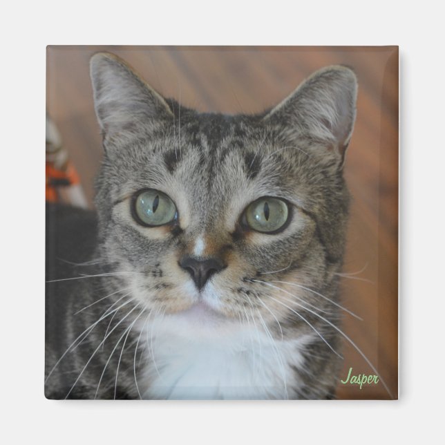 Jasper Magnet (Front)