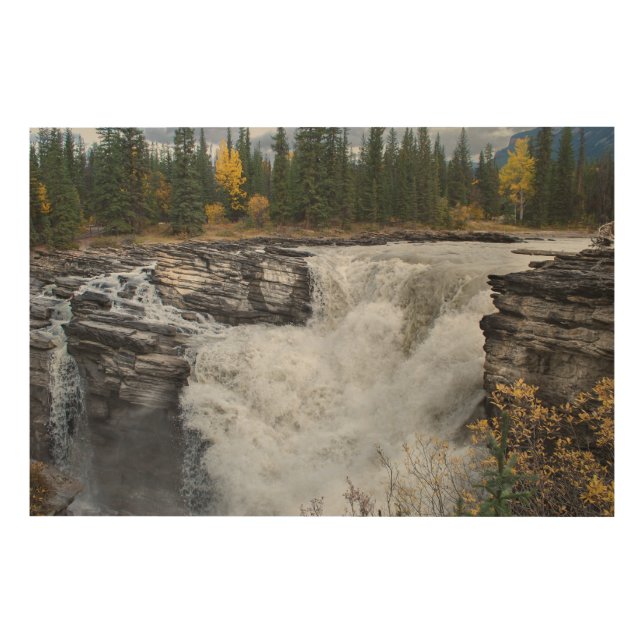Jasper National Park Print: Athabasca Falls Wood Wall Art (Front)