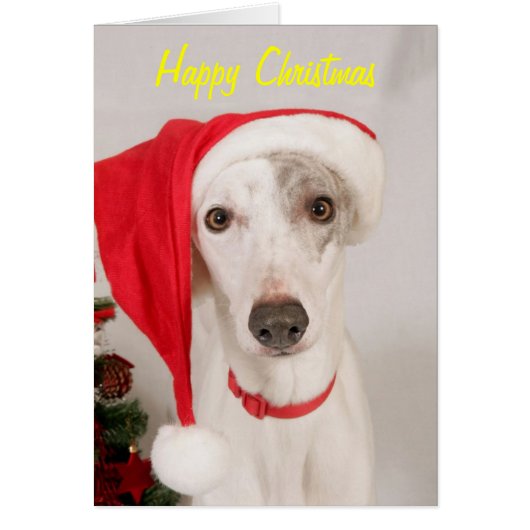 Jasper the Christmas Dog Cards (Front)