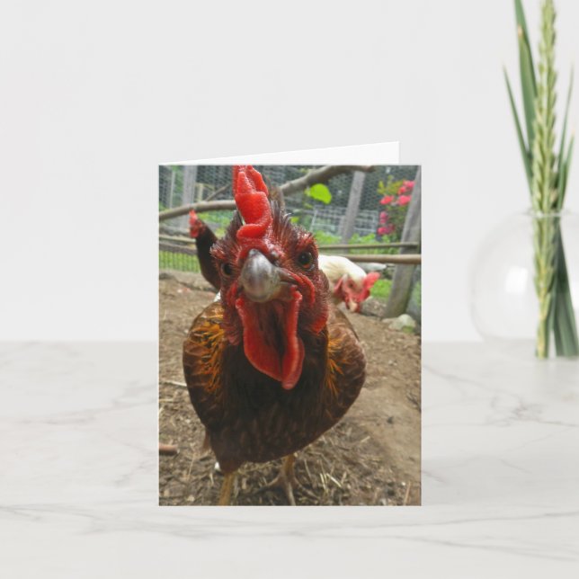 Jasper the Welsummer Hen Note Card (Front)
