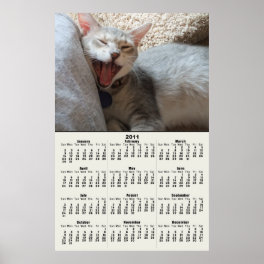 Jasper Yawning Kitten 2011 Calendar Poster