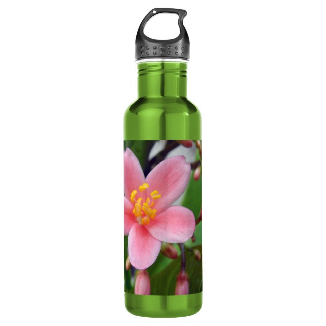 Jatropha Flower and flower buds Stainless Steel Water Bottle (Front)