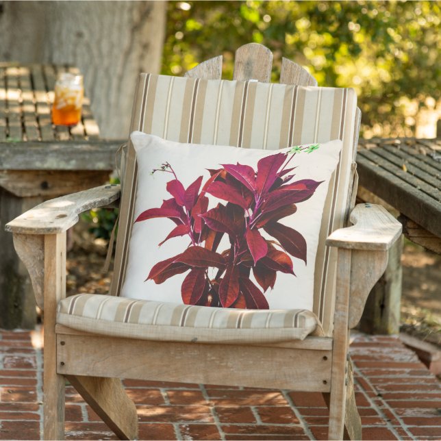 Jatropha Plant in Deep Red Outdoor Pillow (Chair)