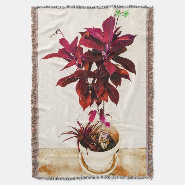 Jatropha Plant in Deep Red Throw Blanket (Front Vertical)