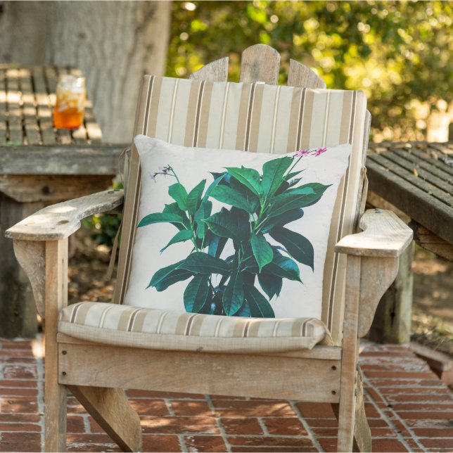 Jatropha Plant in Natural Green Outdoor Pillow (Chair)