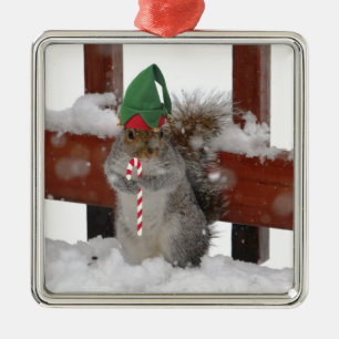 Jaunty Squirrel with Candy Cane Holiday Ornament