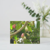 Java Apple Tree Postcard (Standing Front)