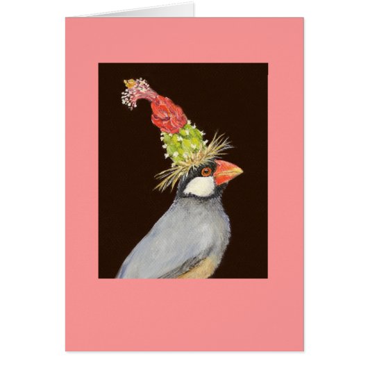 java finch card (Front)