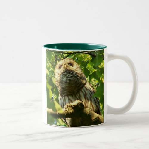 Java Hoot Mug