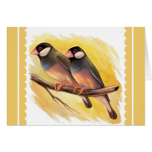 Java Sparrow finches realistic painting Cards (Front Horizontal)