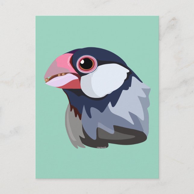Java Sparrow—simplified  Postcard (Front)